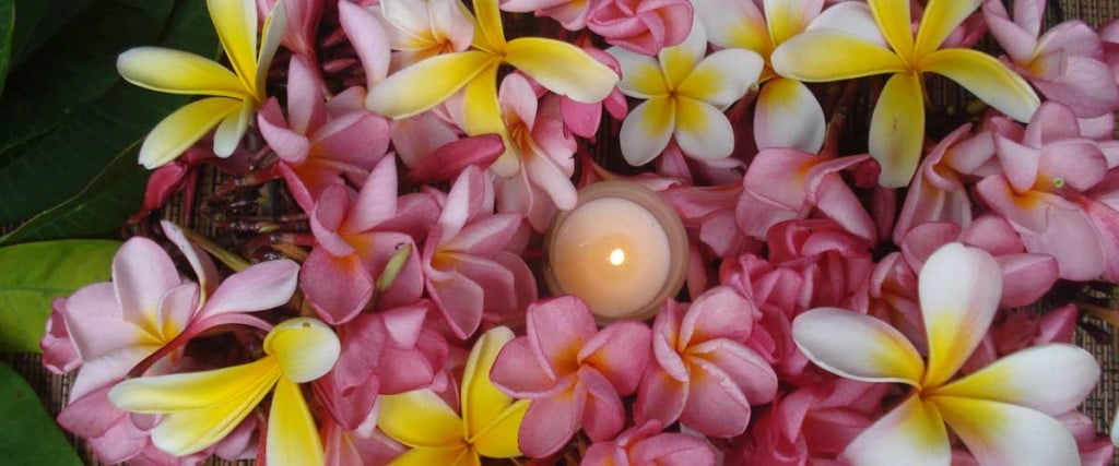 Love Your Body Mind and Soul Pureveda